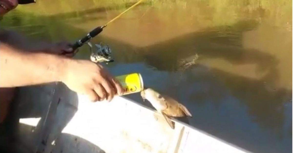 After a long day of trying to avoid fishermen, this thirsty fish relaxes with a cold one