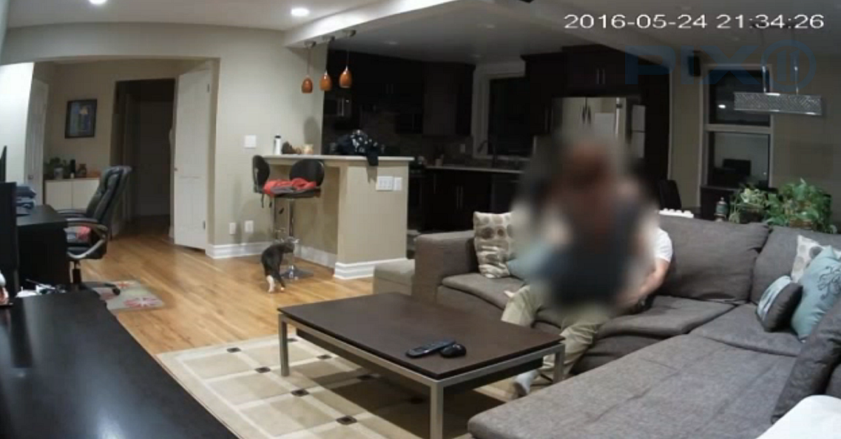 A Pet Sitter Was Caught On Surveillance Camera Doing Something Very Naughty Just Wait Until
