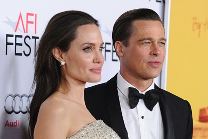 Nearly a year after filing, Angelina Jolie and Brad Pitt have reportedly pressed pause on their divorce proceedings