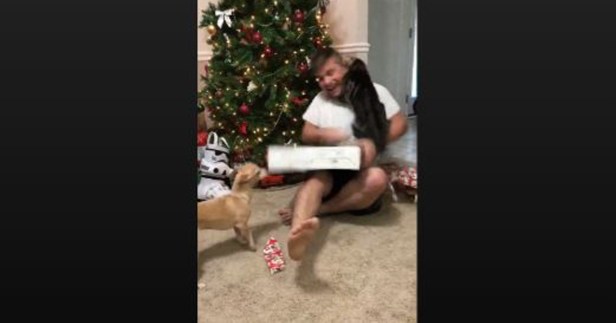 As this guy excitedly opened up his Christmas gift, the house cat did something so rude