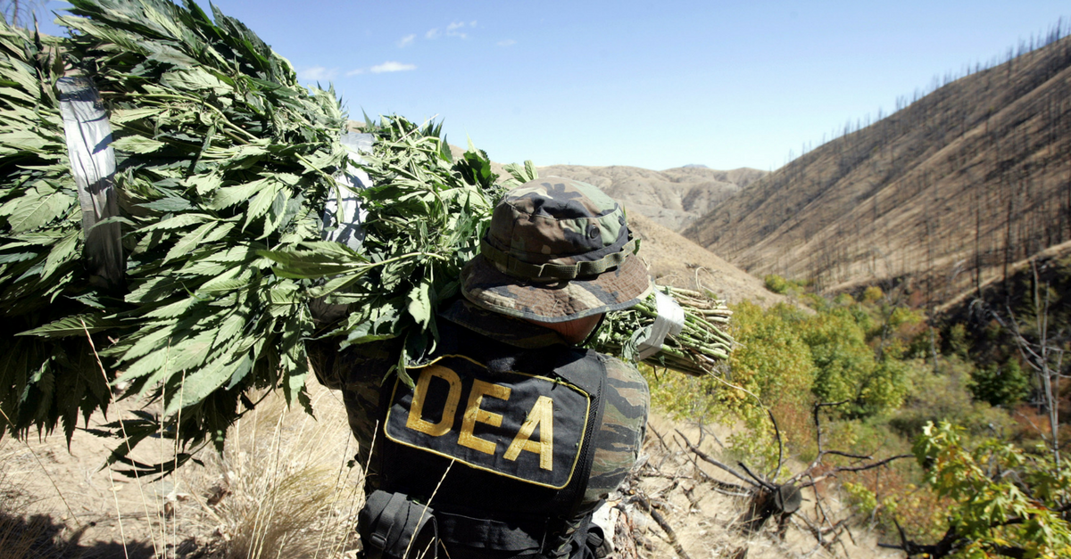 The DEA’s latest move has many in the marijuana industry worried about the next four years