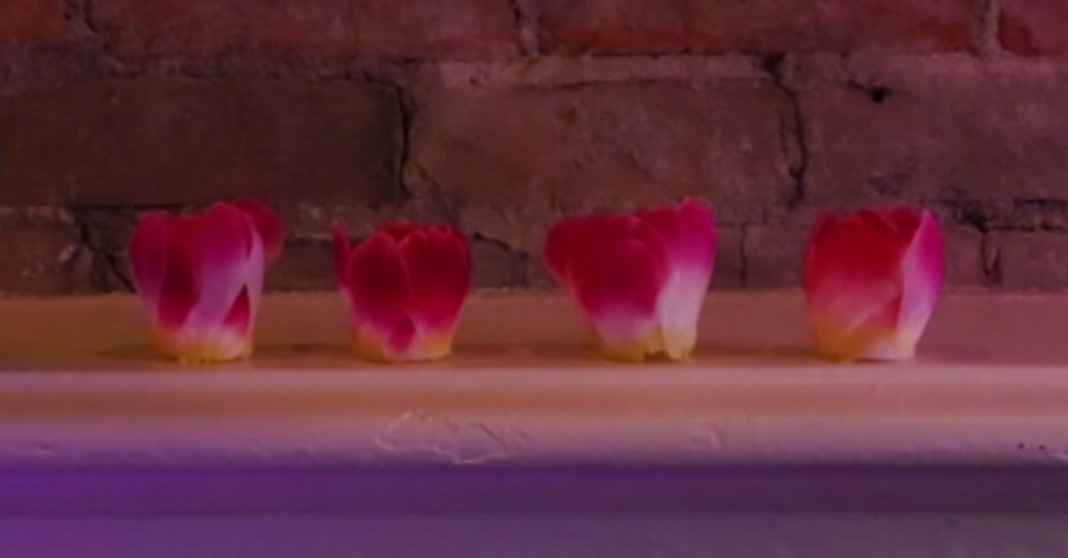 Add some glow to your Valentine’s Day with these DIY flameless rose petal tealights