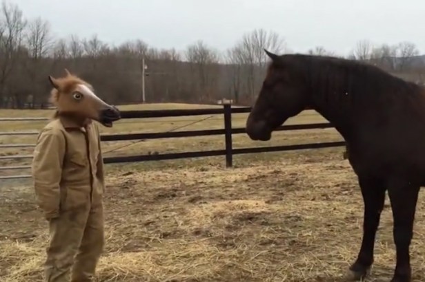 Horse Gets Spooked by Man Wearing Creepy Horse Mask