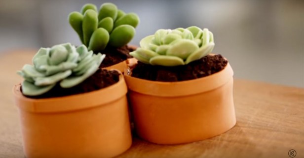 Learn how to create the newest dessert trend — succulent cakes