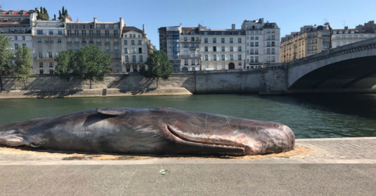 There’s a beached whale on the banks of the Seine in Paris. Non? Rare