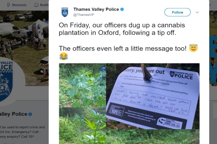 Polite police left a note after confiscating plants from a secret cannabis plantation
