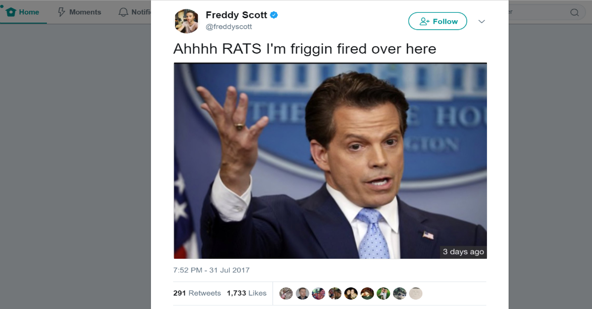Anthony Scaramucci Twitter