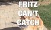 Fritz Dog