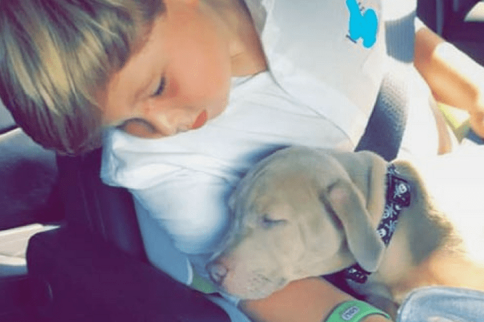 Kim Zolciak-Biermann surprises son Kash with a puppy months after a dog attacked him