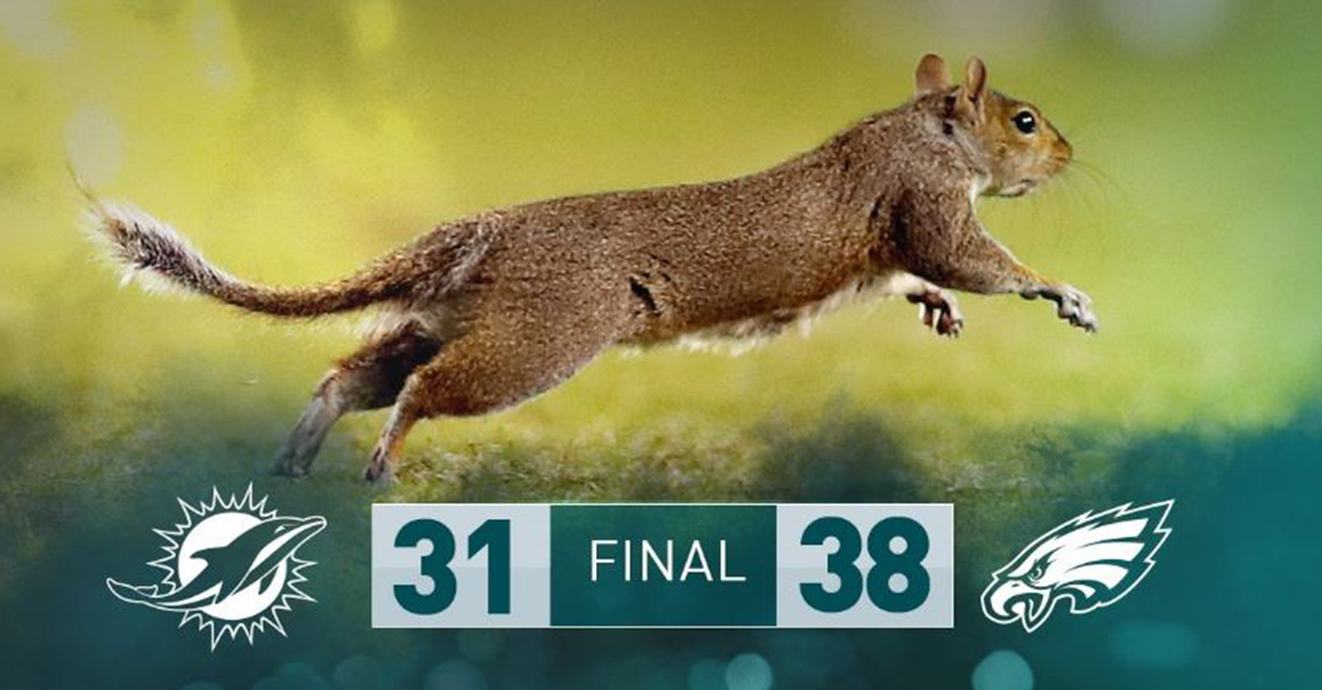 A squirrel ran onto the field of a football game and took everyone by