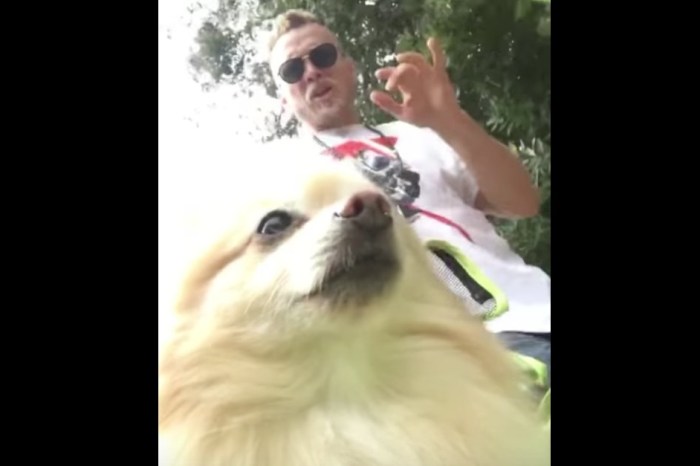 Spencer Pratt’s “Look What You Made Me Do” video is probably better than Taylor’s