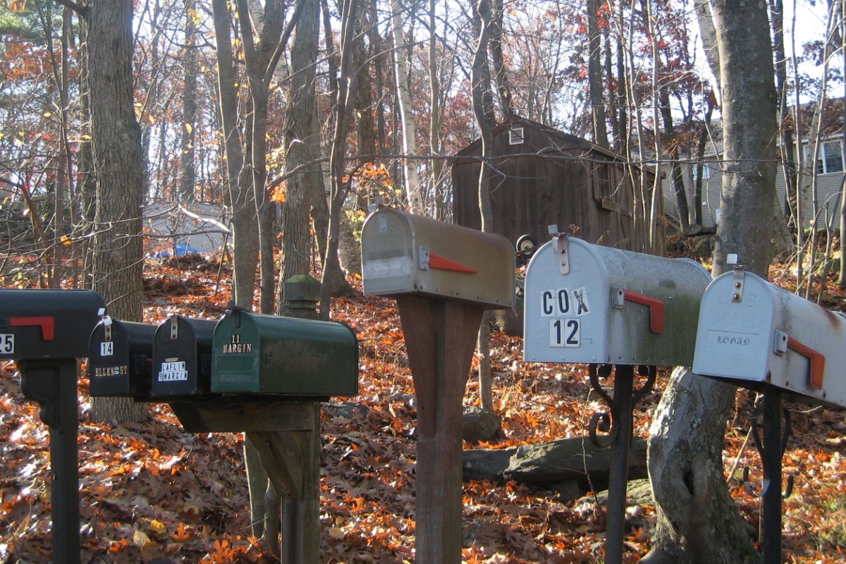 How To Stop Getting Junk Mail In Your Mailbox Rare