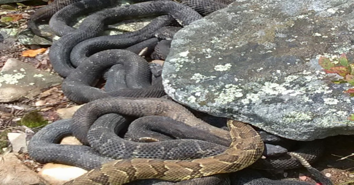 An Arizona man has finally learned his lesson after getting his second