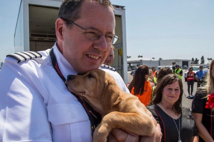 Southwest chartered a plane to transport Harvey’s most adorable evacuees