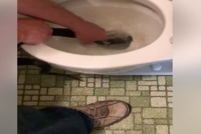 Hero neighbor pulled a 6-foot-long nightmare out of an 88-year-old man’s toilet