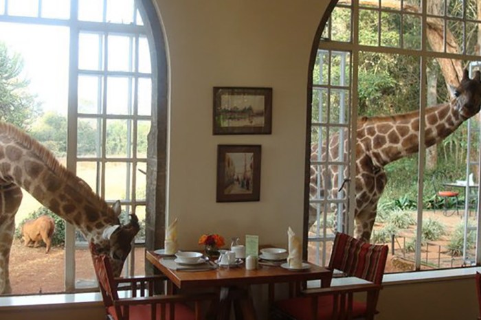 There’s a hotel in Kenya where you can break bread with a giraffe