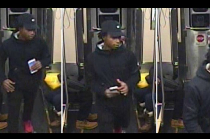Police release photo of CTA theft suspect