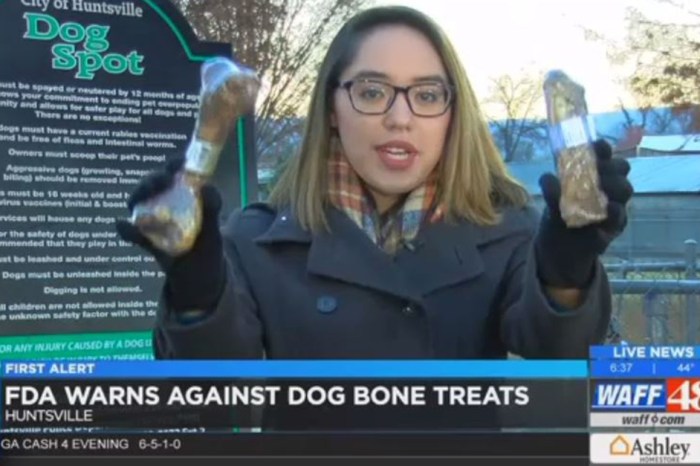The FDA offers a warning for what not to feed your dog