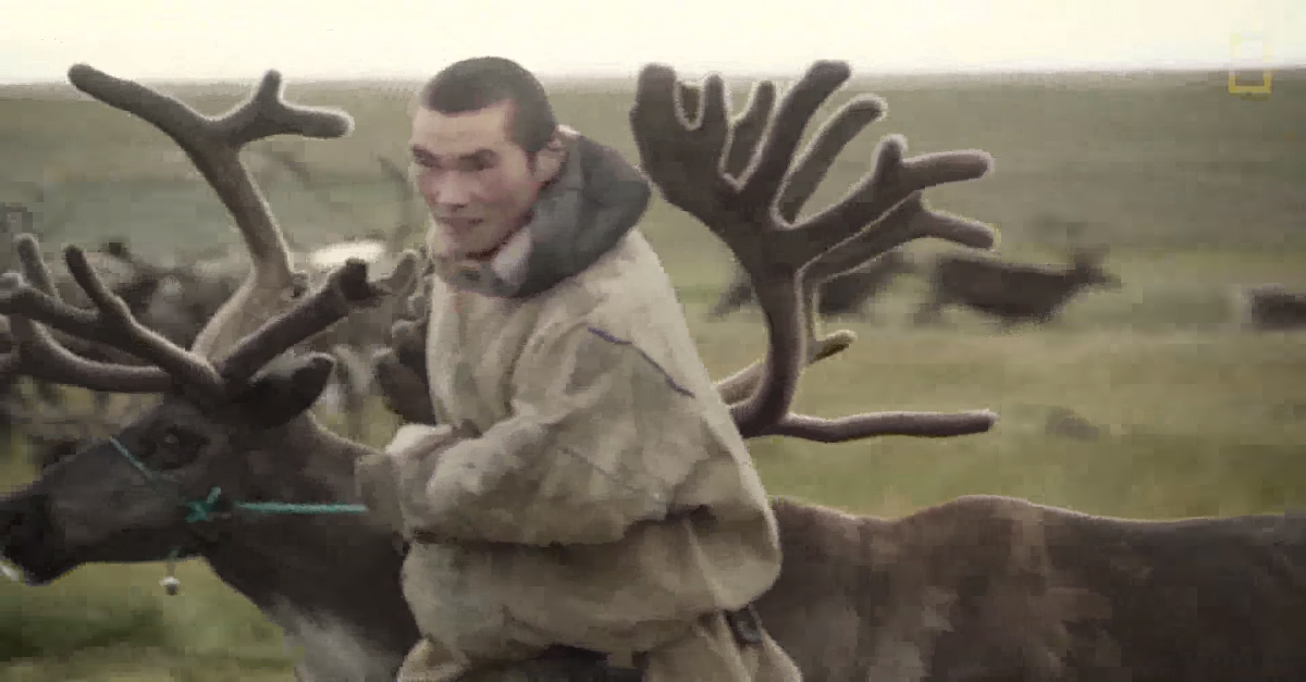 Powerful short film documents the struggles of reindeer herders in Russia’s Arctic