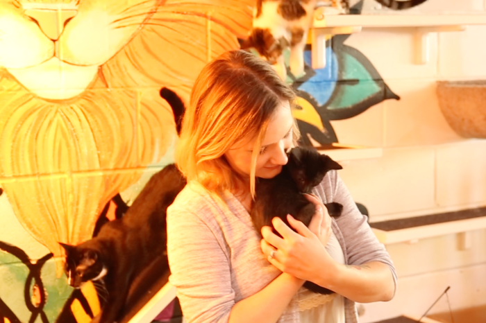 Playing with 20 cats while sipping on a latte — yes, this is a real place