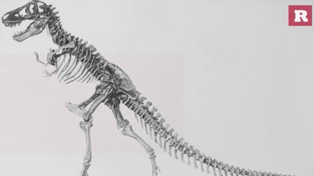 15 fun and ferocious facts on the Tyrannosaurus rex