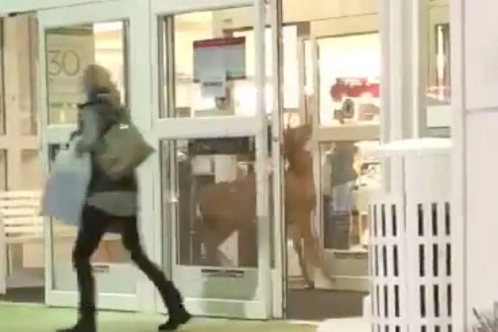 People were stunned when a buck “doing last minute Christmas shopping” caused chaos in a Kohl’s