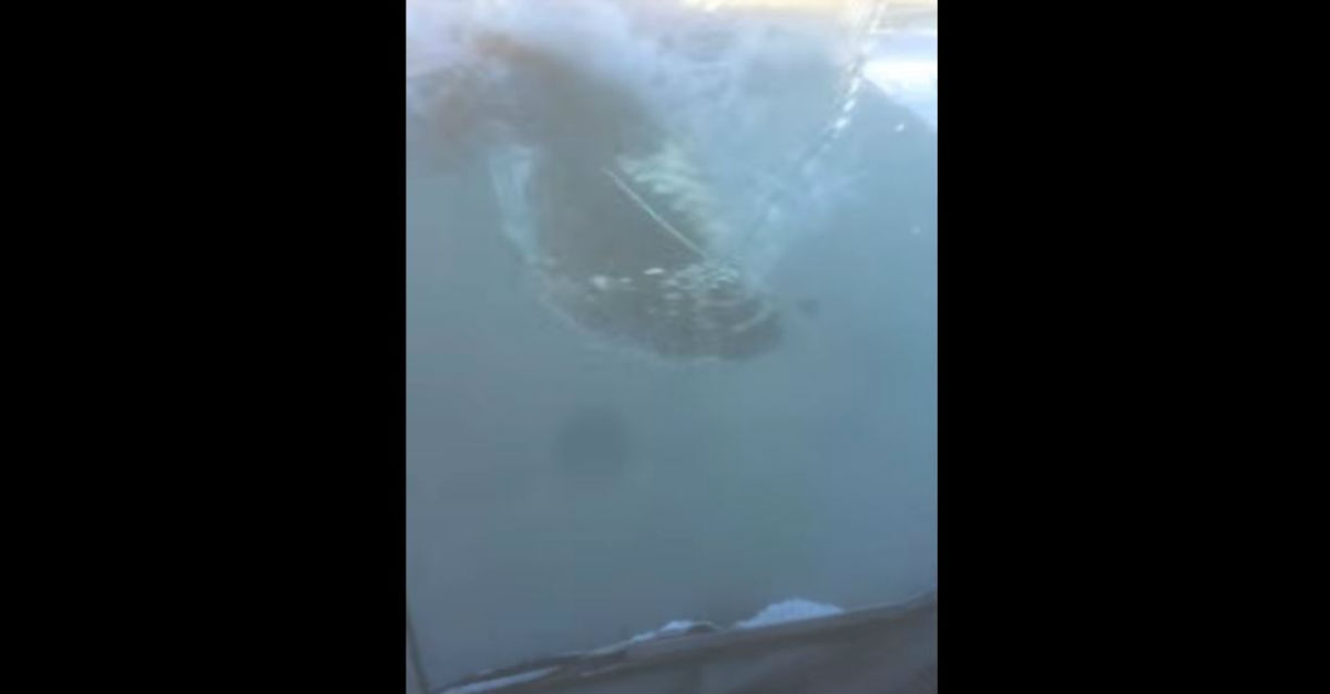 Man fails horribly to get ice off windshield using boiling water Rare