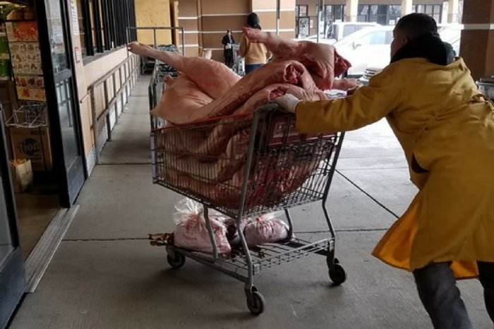 Horrified customer couldn’t believe her eyes when she witnessed this “disgusting” delivery in a Costco cart