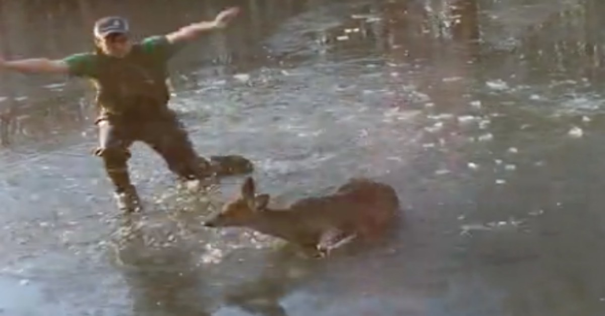 Young Man Amazingly Saves a Baby Deer Stuck in a Frozen Pond