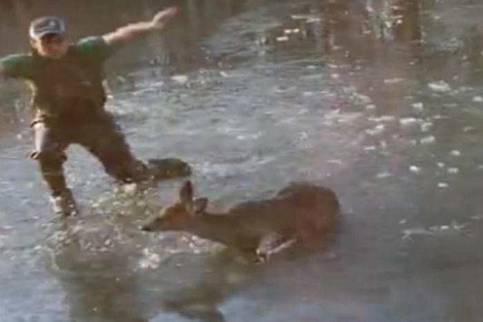 Young Man Amazingly Saves a Baby Deer Stuck in a Frozen Pond