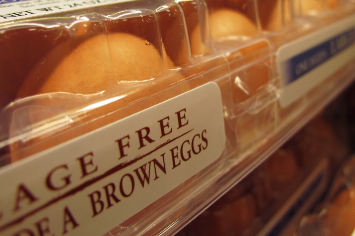 Why are some eggs white and some eggs brown?