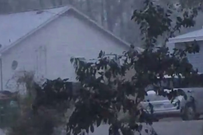 The Sunshine State saw something super rare in snowfall, and Floridians couldn’t handle it