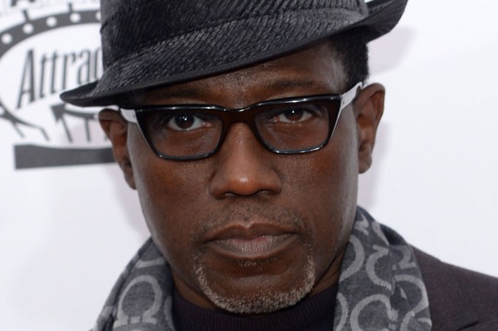 Wesley Snipes says he tried to make a “Black Panther” movie in the 90s — but there was a big issue