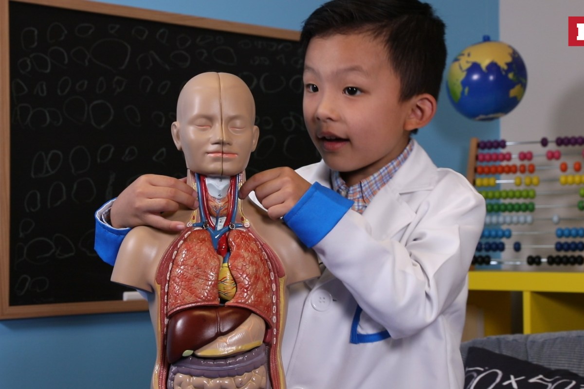This kid genius explains how your body fights viruses like the flu