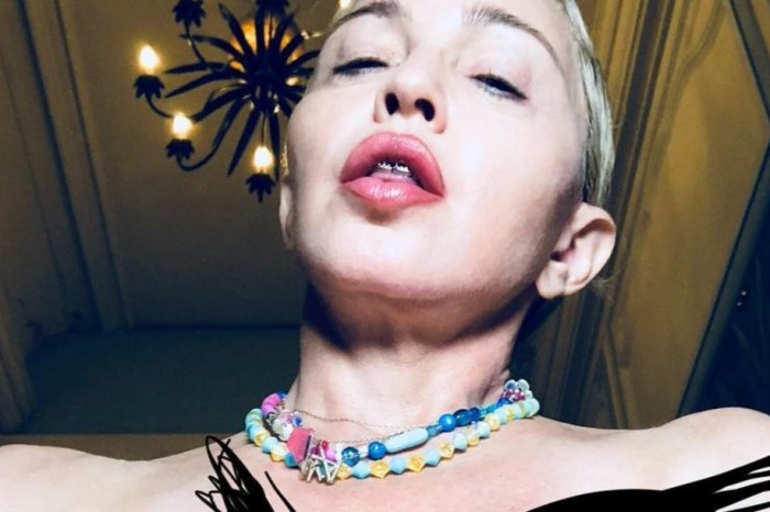 What is going on in this topless picture of Madonna holding a Louis Vuitton bag?