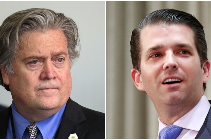 Fired Trump strategist Steve Bannon used the T-word while throwing Don Jr. under the bus