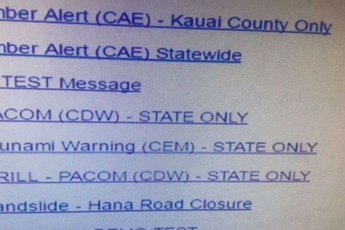 Here’s the last thing a Hawaii state worker saw before triggering nuclear panic