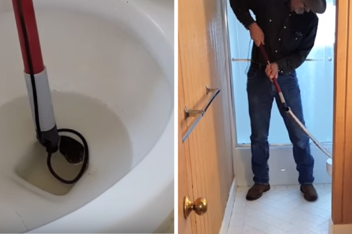 “Your worst nightmare”: huge snake wrangled out of a toilet is enough to make anyone’s stomach churn