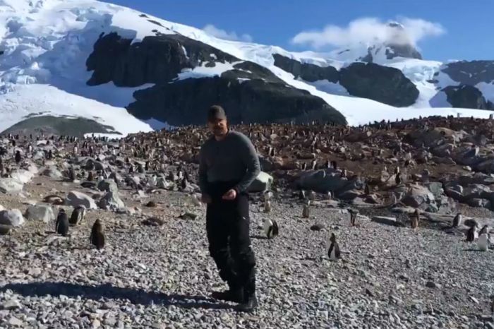 “Stranger Things” star David Harbour just danced with penguins in Antarctica
