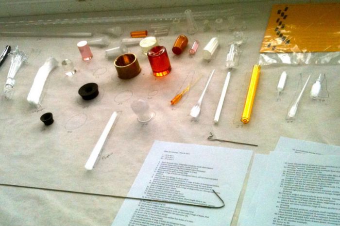 Science class leads girl to discover a life-changing family secret