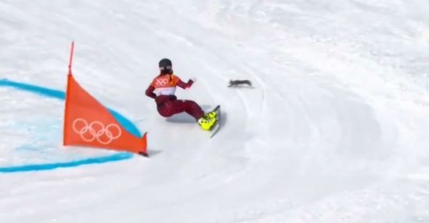 One daredevil squirrel made its Olympic debut by almost being sliced in half by a snowboarder