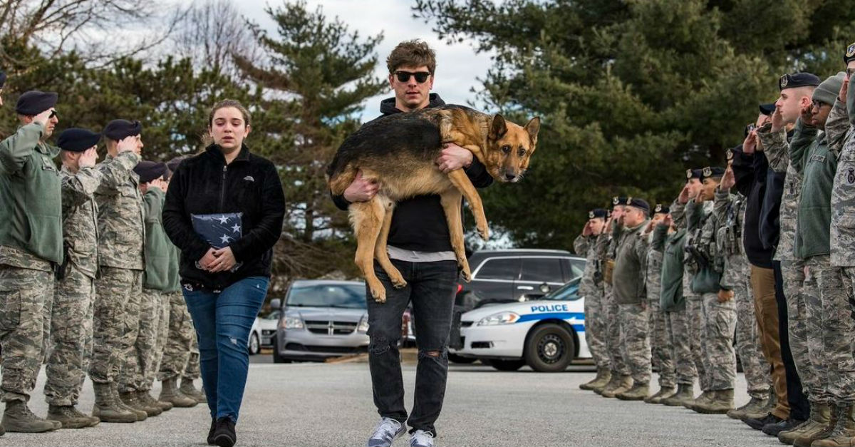 Air Force Members Give Emotional Final Salute to Beloved Military Working Dog