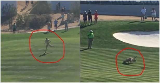 There were a lot of balls in play when a streaker decided to hit the local pro golf tournament