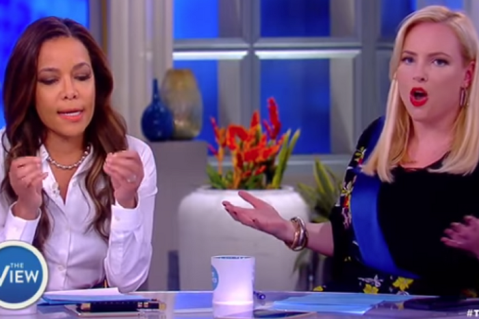 Ladies of “The View” Lost Their Minds When Meghan McCain Defended Gun Rights During Heated Debate