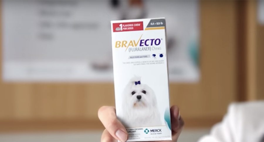 bravecto commercial