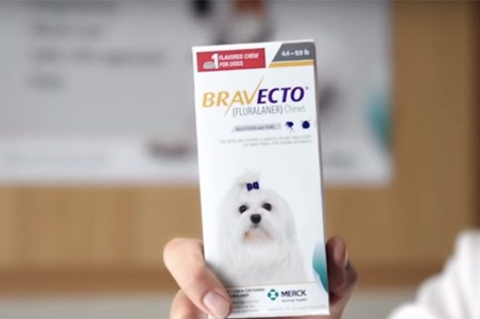 Bravecto Flea Medication Suspected in Numerous Dog Deaths Worldwide