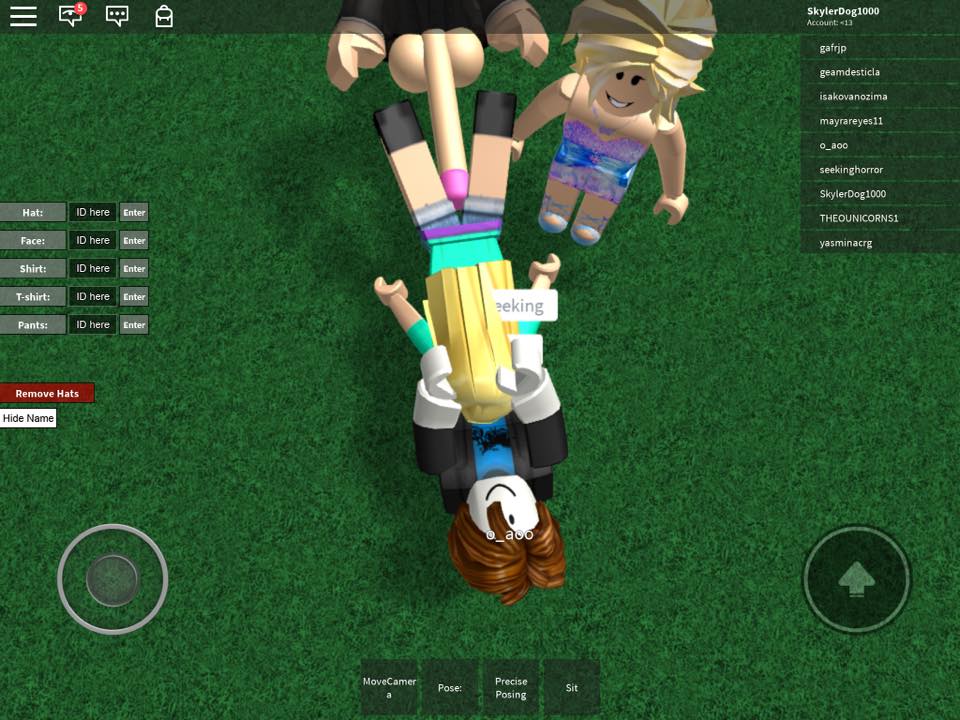 sex roblox game