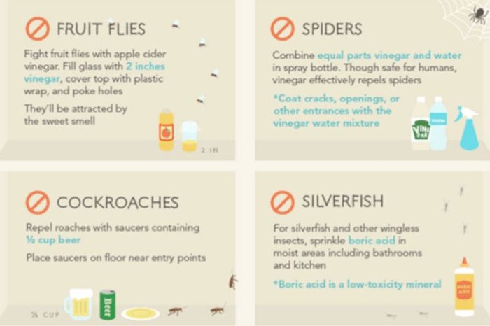 This Handy Graphic Shows Every DIY Pest Control Hack You’ll Ever Need