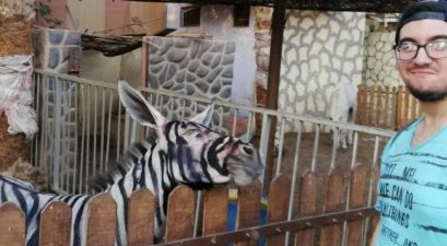 Zoo Tried to Paint Stripes on Donkey to Pass Off as Zebra