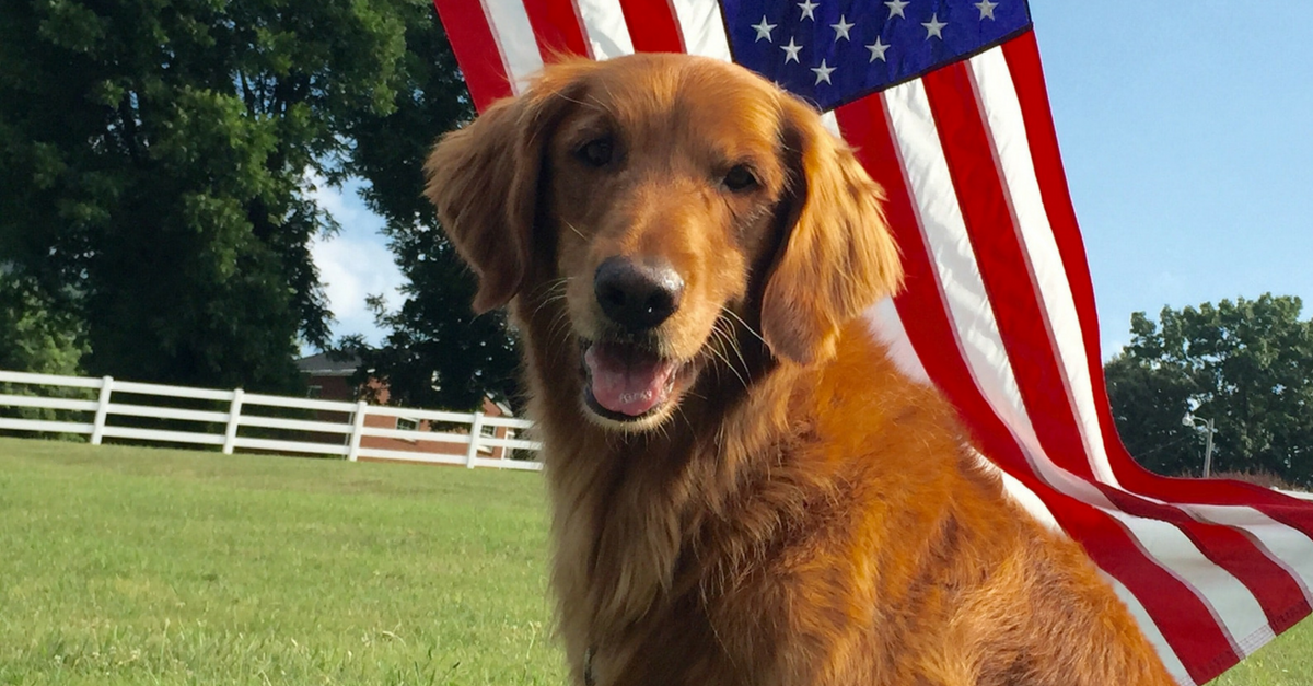 Goodnight, Sweet Bean Prince Bush’s Baked Beans Dog “Duke” Passes Away